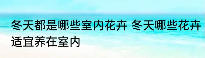 冬天都是哪些室内花卉 冬天哪些花卉适宜养在室内