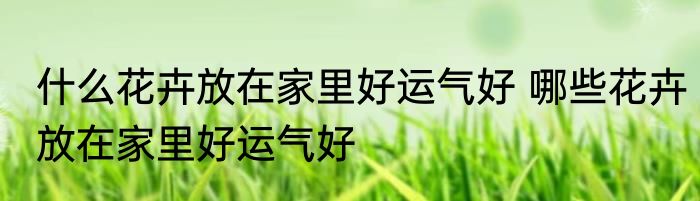 什么花卉放在家里好运气好 哪些花卉放在家里好运气好