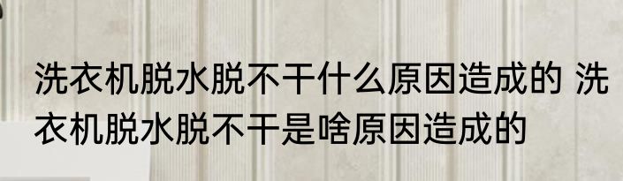 洗衣机脱水脱不干什么原因造成的 洗衣机脱水脱不干是啥原因造成的