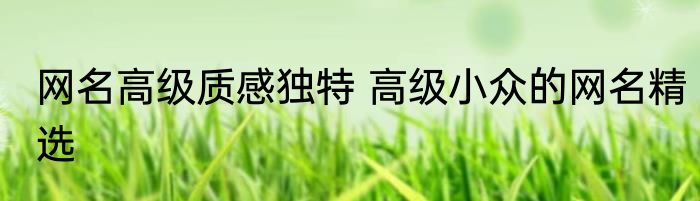 网名高级质感独特 高级小众的网名精选