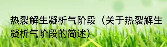 热裂解生凝析气阶段（关于热裂解生凝析气阶段的简述）