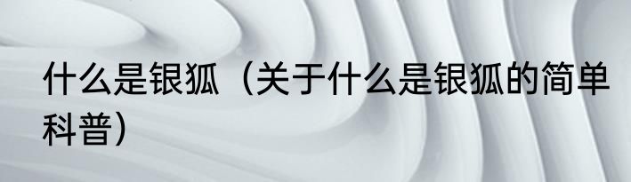什么是银狐（关于什么是银狐的简单科普）