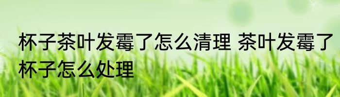 杯子茶叶发霉了怎么清理 茶叶发霉了杯子怎么处理