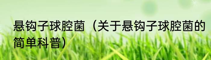 悬钩子球腔菌（关于悬钩子球腔菌的简单科普）