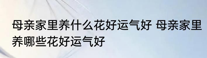 母亲家里养什么花好运气好 母亲家里养哪些花好运气好