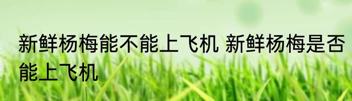 新鲜杨梅能不能上飞机 新鲜杨梅是否能上飞机