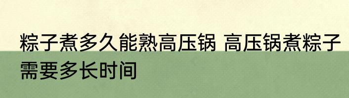 粽子煮多久能熟高压锅 高压锅煮粽子需要多长时间