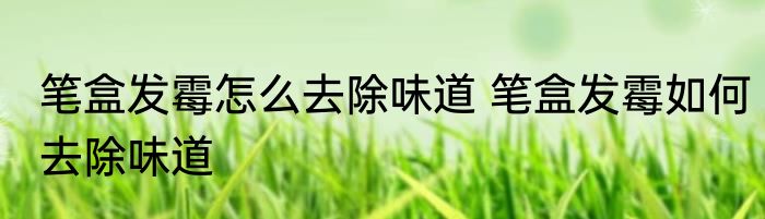 笔盒发霉怎么去除味道 笔盒发霉如何去除味道