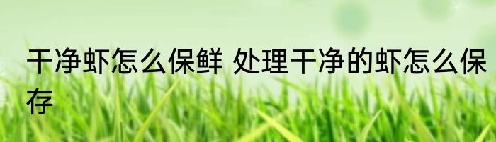 干净虾怎么保鲜 处理干净的虾怎么保存