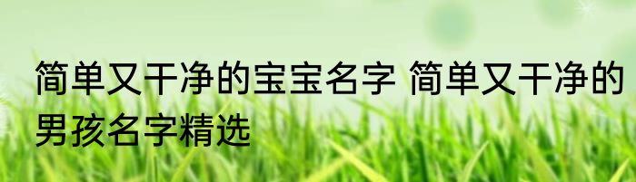 简单又干净的宝宝名字 简单又干净的男孩名字精选