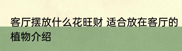 客厅摆放什么花旺财 适合放在客厅的植物介绍