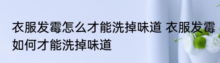 衣服发霉怎么才能洗掉味道 衣服发霉如何才能洗掉味道