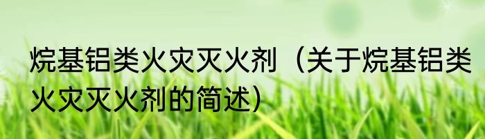 烷基铝类火灾灭火剂（关于烷基铝类火灾灭火剂的简述）