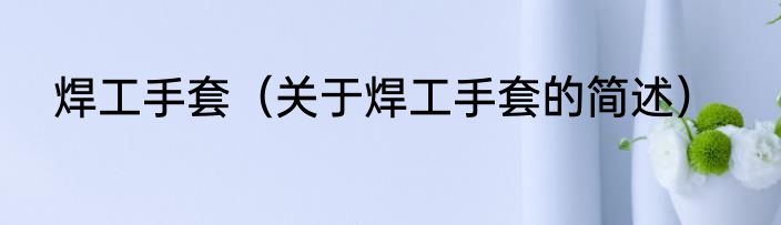 焊工手套（关于焊工手套的简述）