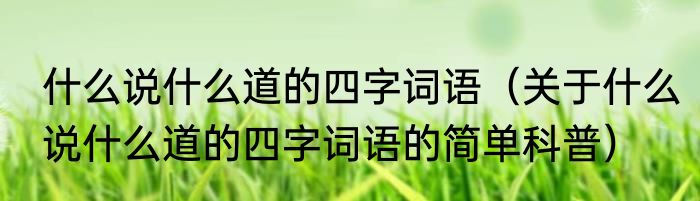 什么说什么道的四字词语（关于什么说什么道的四字词语的简单科普）