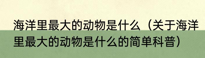 海洋里最大的动物是什么（关于海洋里最大的动物是什么的简单科普）
