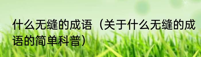 什么无缝的成语（关于什么无缝的成语的简单科普）