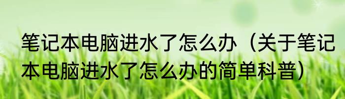笔记本电脑进水了怎么办（关于笔记本电脑进水了怎么办的简单科普）