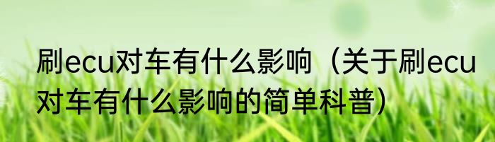 刷ecu对车有什么影响（关于刷ecu对车有什么影响的简单科普）