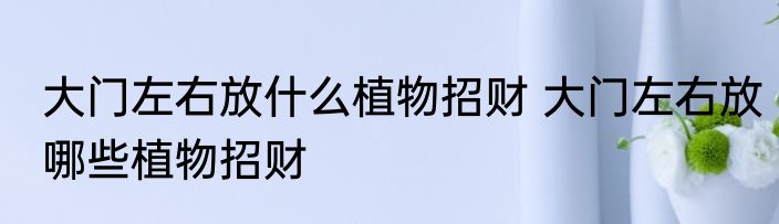 大门左右放什么植物招财 大门左右放哪些植物招财