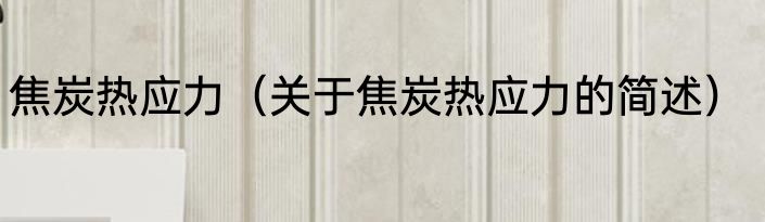 焦炭热应力（关于焦炭热应力的简述）