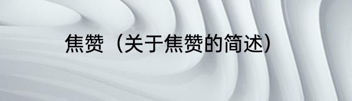 焦赞（关于焦赞的简述）