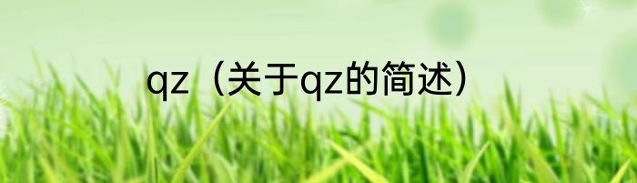 qz（关于qz的简述）