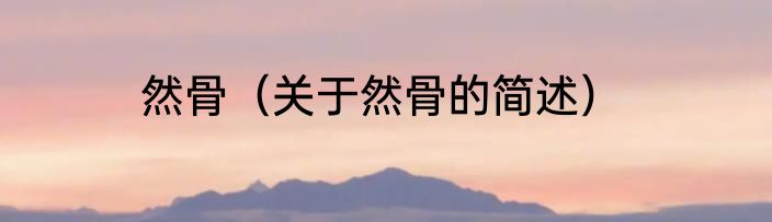 然骨（关于然骨的简述）