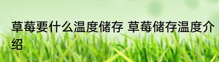 草莓要什么温度储存 草莓储存温度介绍