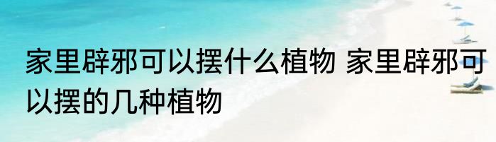 家里辟邪可以摆什么植物 家里辟邪可以摆的几种植物