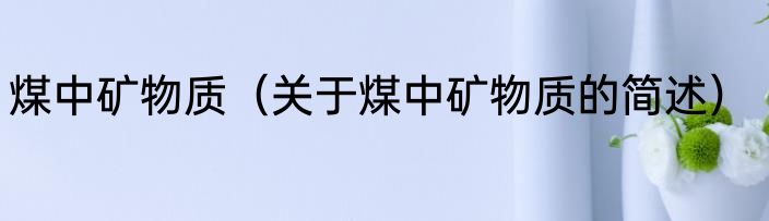 煤中矿物质（关于煤中矿物质的简述）