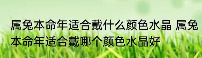 属兔本命年适合戴什么颜色水晶 属兔本命年适合戴哪个颜色水晶好