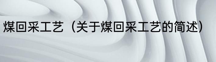 煤回采工艺（关于煤回采工艺的简述）