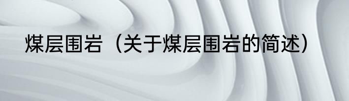 煤层围岩（关于煤层围岩的简述）