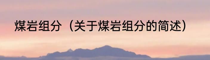 煤岩组分（关于煤岩组分的简述）