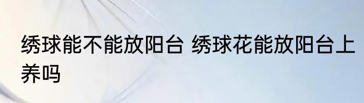 绣球能不能放阳台 绣球花能放阳台上养吗
