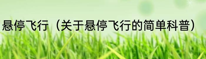 悬停飞行（关于悬停飞行的简单科普）