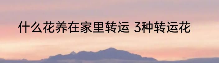 什么花养在家里转运 3种转运花