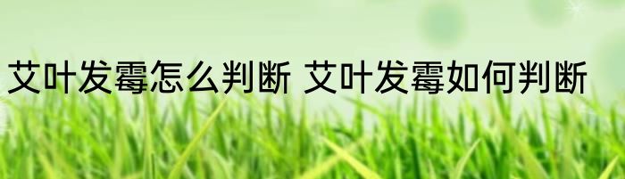 艾叶发霉怎么判断 艾叶发霉如何判断
