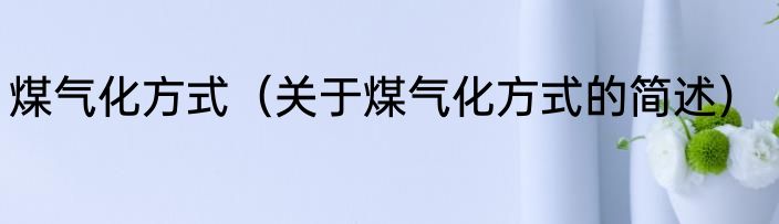 煤气化方式（关于煤气化方式的简述）