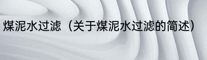 煤泥水过滤（关于煤泥水过滤的简述）
