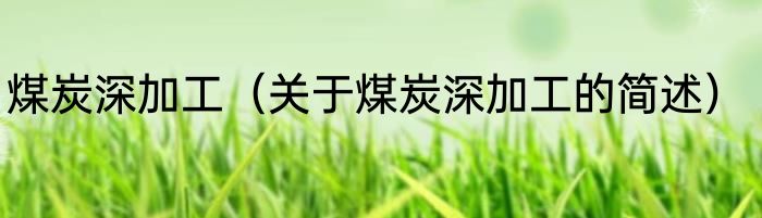 煤炭深加工（关于煤炭深加工的简述）