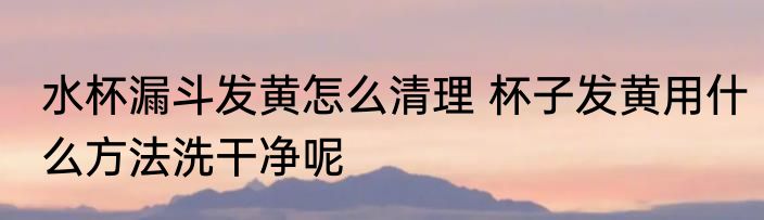 水杯漏斗发黄怎么清理 杯子发黄用什么方法洗干净呢