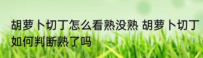 胡萝卜切丁怎么看熟没熟 胡萝卜切丁如何判断熟了吗