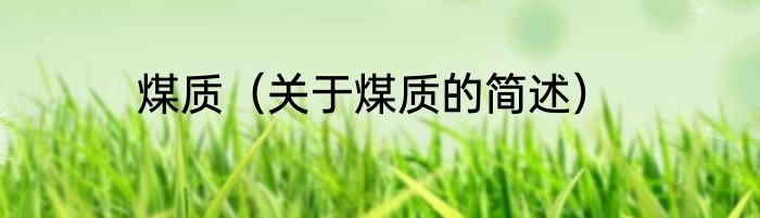 煤质（关于煤质的简述）