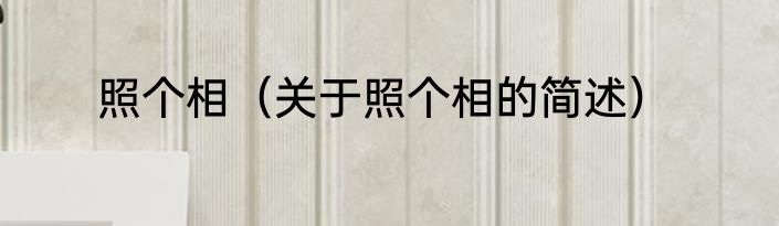 照个相（关于照个相的简述）