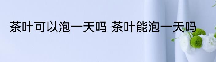 茶叶可以泡一天吗 茶叶能泡一天吗
