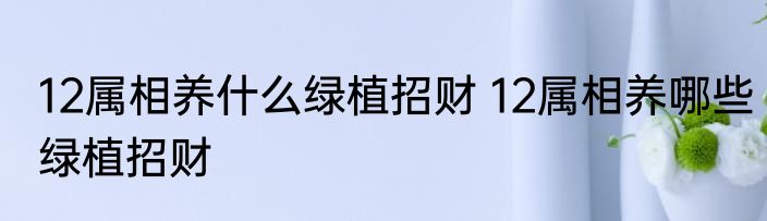 12属相养什么绿植招财 12属相养哪些绿植招财