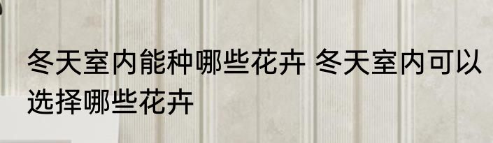 冬天室内能种哪些花卉 冬天室内可以选择哪些花卉