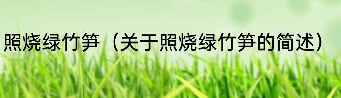 照烧绿竹笋（关于照烧绿竹笋的简述）